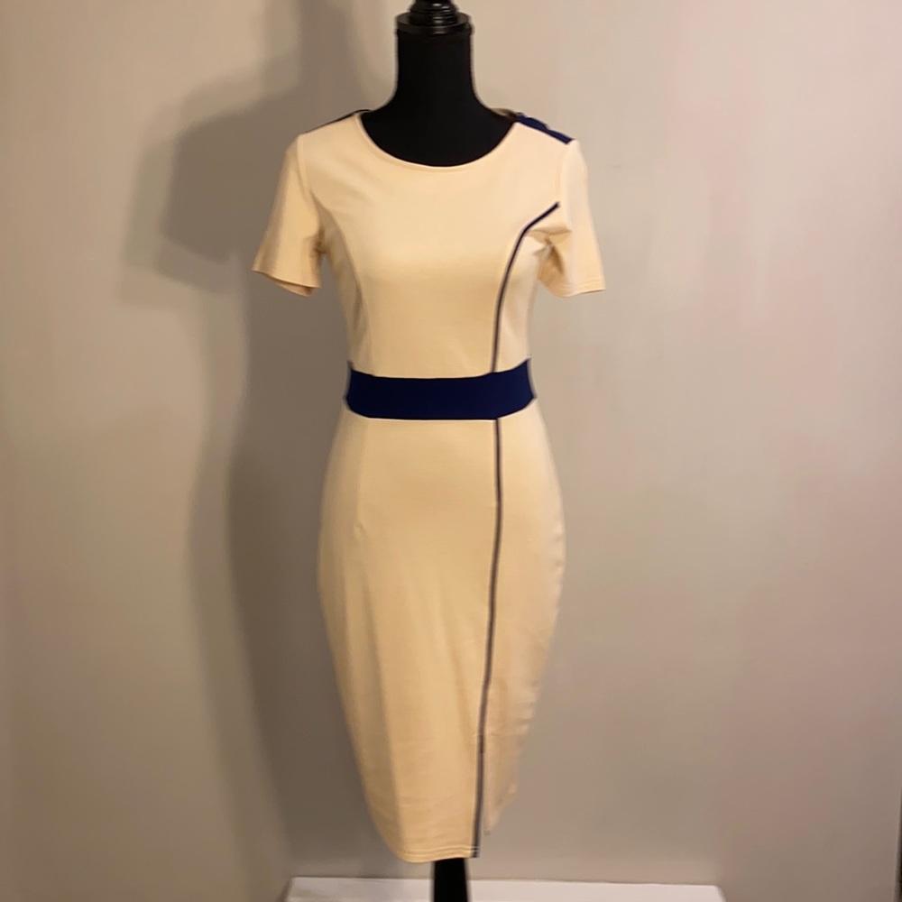 Ladies business dress new. Fitted knee length